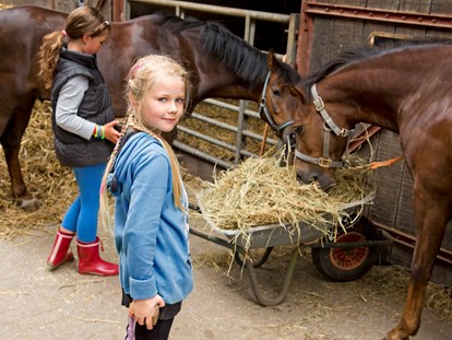 Familienhotel - Ausritte mit Pferden - Niedersachsen - Das Wohlergehen der Pferde steht an erster Stelle - Frieslandstern - Ferienhof und Hotel