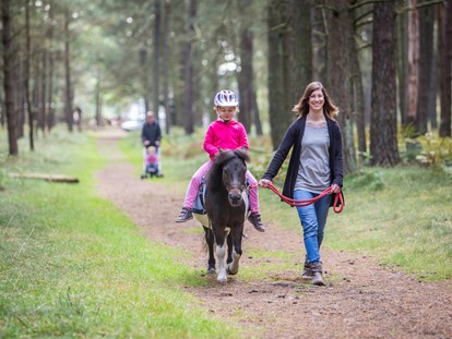 Familienhotel - Streichelzoo - Deutschland - Ponyreiten durch den Nationalpark - Familotel Borchard's Rookhus
