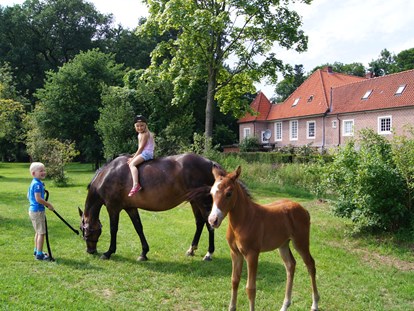Familienhotel - Ausritte mit Pferden - Niedersachsen - Gut Landegge Familotel Emsland