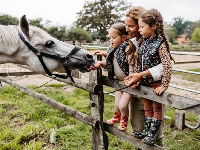 Familienhotel - Kinderbetreuung in Altersgruppen - Deutschland - Pferde und Ponies zum Streicheln und Reiten - Familotel Landhaus Averbeck