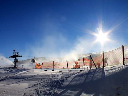 Familienhotel - Eslohe - Ettelsberg im Winter - Skifahren in Willingen - Familotel Ottonenhof - Die Ferienhofanlage im Sauerland