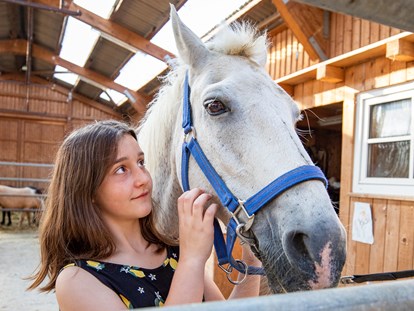 Familienhotel - Kinderwagenverleih - Deutschland - Ponys - unsere Ponys freuen sich schon, euch kennenzulernen  - Familotel Ottonenhof - Die Ferienhofanlage im Sauerland