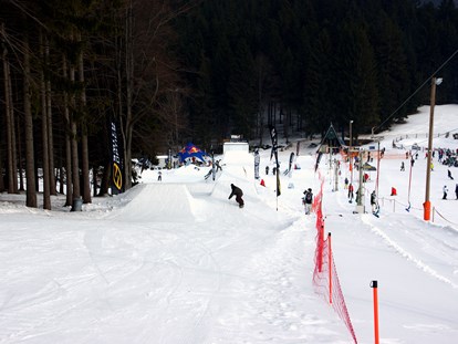 Familienhotel - Wurzbach - Skiarea Heubach, nur 1,5 km entfernt, mit 600 m Skipiste, Schlepplift, Nachtskifahren, Lernpark für die Kleinen und Funpark für alle waghalsigen Snowboarder und Freeskier - Werrapark Resort Hotel Heubacher Höhe