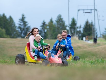 Familienhotel - Kinderwagenverleih - Deutschland - Deval Cart - ein Spaß für die Familie - Familotel Mein Krug