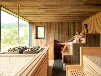 Familienhotel - Pools: Infinity Pool - Bayerischer Wald - Finnische Sauna - Familotel Schreinerhof