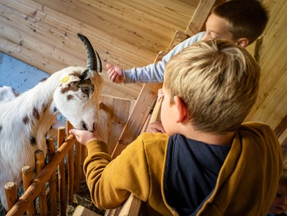 Familienhotel - Babyphone - Salzburg - Der Kleintierbauernhof ist besonders bei Kindern sehr beliebt.  - Familienhotel Oberkarteis