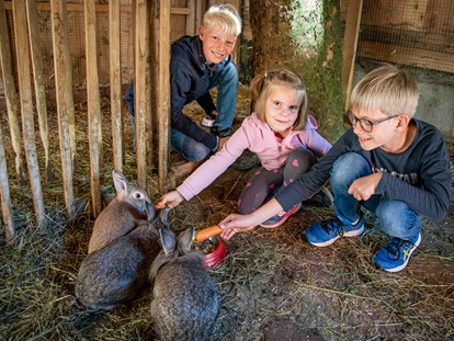 Familienhotel - Babybetreuung - Österreich - Der Kleintierbauernhof ist besonders bei Kindern sehr beliebt.  - Familienhotel Oberkarteis