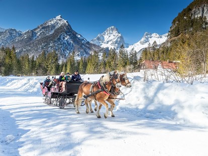 Familienhotel - Teenager-Programm - Oberösterreich - Pferdeschlittenfahrt - Dilly - Das Nationalpark Resort