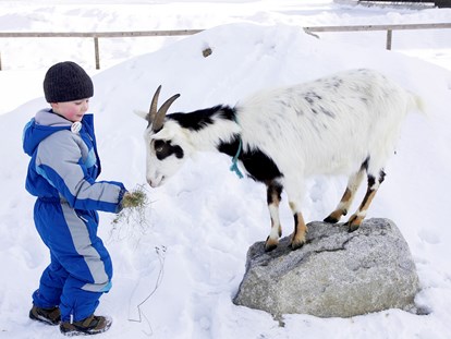 Familienhotel - Pools: Innenpool - Österreich - Auch im Winter wollen die Tiere Futter - Kinderhotel Felben