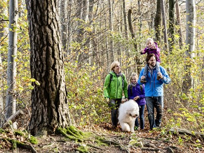Familienhotel - Hunde: erlaubt - Baden-Württemberg - Familie bei einer Herbstwanderung im Schwarzwald - Vier Jahreszeiten am Schluchsee