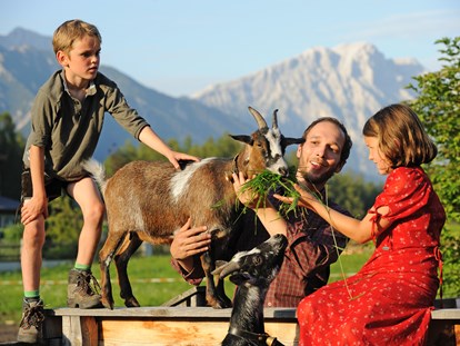 Familienhotel - Ponyreiten - Tirol - Streichelzoo mit Ziegen und Ponys - Der Stern - Das nachhaltige Familienhotel seit 1509