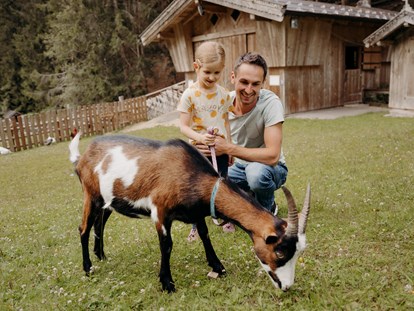 Familienhotel - Babyphone - Salzburg - Bauernhof mit vielen unterschiedlichen Tieren wie Ziegen, Ponys, Schweine, Kühe, Hühner, Hasen, Enten ...
Auf Tafeln gibt es Wissenswertes über unsere Bauernhoftiere - Habachklause Familien Bauernhof Resort