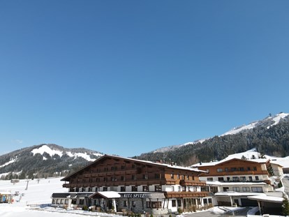 Familienhotel - Pools: Schwimmteich - Österreich - Im Winter direkt an der Piste  - Naturhotel Kitzspitz