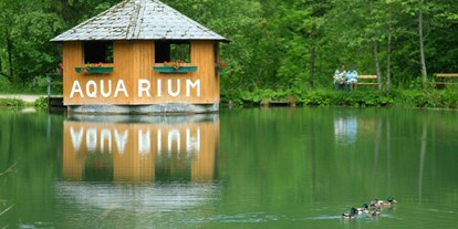 Familienhotel - WLAN - Oberösterreich - Das Aquarium am Forellenteich - Ferienhotel Gut Enghagen
