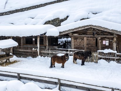 Familienhotel - Ponyreiten - Tirol - Streichelzoo direkt beim Hotel - Alpin Family Resort Seetal