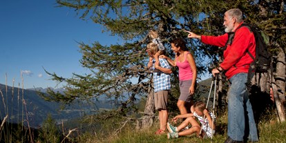 Familienhotel - Umgebungsschwerpunkt: am Land - Kärnten - Wandern mit toller Aussicht - Familienhotel Hinteregger
