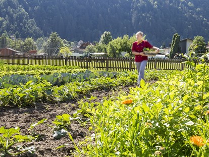 Familienhotel - Tennis - Österreich - Obst und Gemüse aus dem eigenen Garten - Familiengut Hotel Burgstaller