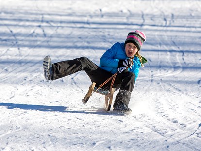 Familienhotel - Hunde: erlaubt - Österreich - Winterspaß beim Rodeln


 - Familien- & Sporthotel Kärntnerhof