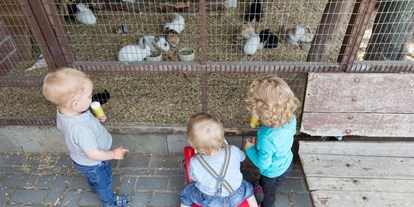 Familienhotel - Kinderbetreuung - Münsterland - Unser Hasen und Meerschweinchengehege - Familotel Landhuus Laurenz