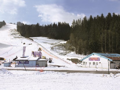 Familienhotel - Skilift - Österreich - Allwetter-Rodelbahn "Lucky Flitzer" und Rodelalm auch im Winter geöffnet. - Schlosshotel Lacknerhof****S Flachau