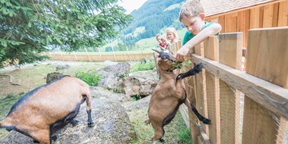Familienhotel - Hunde: auf Anfrage - Zell am See - Streicheltiere im Abenteuerland - Familienhotel Botenwirt ***S
