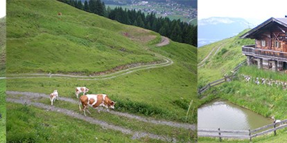 Familienhotel - Hunde verboten - Going am Wilden Kaiser - Hauseigene Alm, 1x wöchentlich geführte Wanderung - Kaiserhotel Kitzbühler Alpen