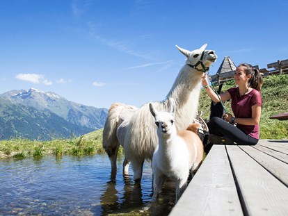 Familienhotel - bewirtschafteter Bauernhof - Südtirol - Alpakas uns Lamas im Bergzoo - Taser Alm