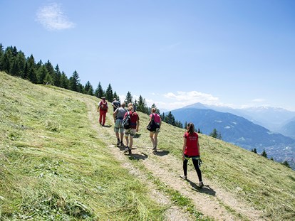 Familienhotel - Hallenbad - Trentino-Südtirol - Wandern auf die Alm - Taser Alm
