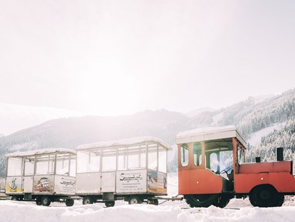 Familienhotel - Umgebungsschwerpunkt: See - Österreich - Gratis Bummelzug "Bruno" bringt unsere Gäste zum Skigebiet - Das Original Kinderhotel Stegerhof in der Steiermark