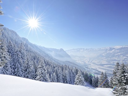 Familienhotel - Ponyreiten - Davos Platz - Ein ganzes Land auf einen Blick: Liechtenstein - Gorfion Familotel Liechtenstein