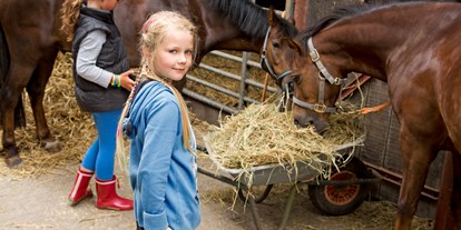 Familienhotel - Kinderwagenverleih - Nordseeküste - Das Wohlergehen der Pferde steht an erster Stelle - Frieslandstern - Ferienhof und Hotel