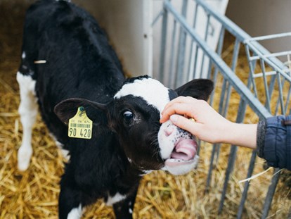 Familienhotel - Babybetreuung - Ausflug zum Milchbauernhof - Familotel Ottonenhof - Die Ferienhofanlage im Sauerland