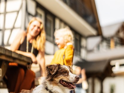 Familienhotel - Hunde: auf Anfrage - Eslohe - Die Vierbeiner unserer Gäste fühlen sich "pudelwohl" auf dem Hof und genießen die Spaziergänge in der Umgebung. - Familienhotel Ebbinghof