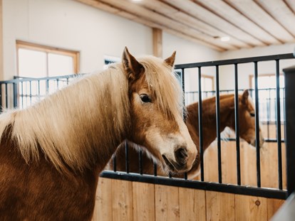Familienhotel - Umgebungsschwerpunkt: am Land - Salzburg - Pferde, Ponys  - Gut Berg Naturhotel