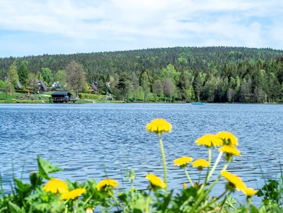 Familienhotel - Garten - Nagler See - bester Platz zum auftanken - Familotel Mein Krug
