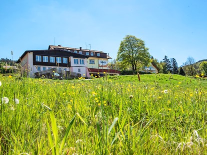 Familienhotel - Umgebungsschwerpunkt: See - Obertrubach - Hotelansicht - Familienurlaub mit Genuss und Erlebnis - Familotel Mein Krug
