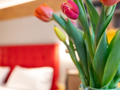 Familienhotel - Suiten mit extra Kinderzimmer - Frühling
 - Familotel Mein Krug