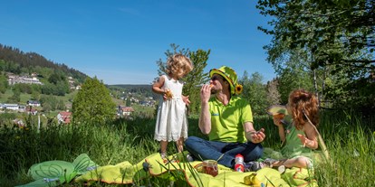 Familienhotel - Spielplatz - Franken - Picknick - lecker  - Mein Krug