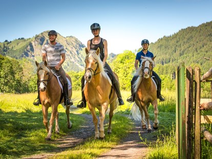 Familienhotel - Ausritte mit Pferden - Ausritt  - Familotel Spa & Familien-Resort Krone