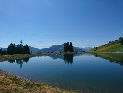 Familienhotel - Pools: Innenpool - Zell am See - Filzalm - Das Hopfgarten Familotel Tirol