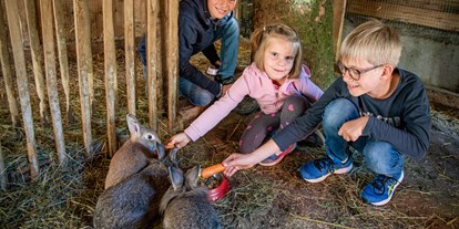 Familienhotel - Umgebungsschwerpunkt: Berg - Der Kleintierbauernhof ist besonders bei Kindern sehr beliebt.  - Familienhotel Oberkarteis