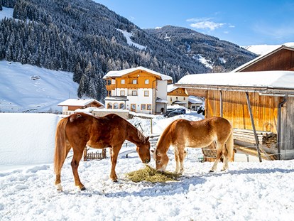 Familienhotel - Streichelzoo - Österreich - Reiten und Tiere - auch im Winter.  - Familienhotel Oberkarteis