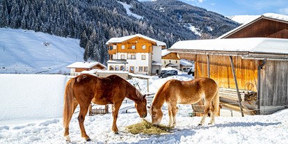 Familienhotel - Spielplatz - Österreich - Reiten und Tiere - auch im Winter.  - Familienhotel Oberkarteis