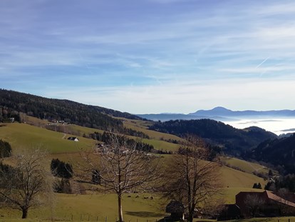 Familienhotel - bewirtschafteter Bauernhof - Eberstein - Aussicht bei strahlendem Sonnenschein  - Familien Resort Petschnighof