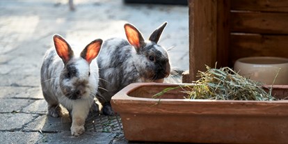 Familienhotel - Teenager-Programm - Kaninchen - Familotel Engel