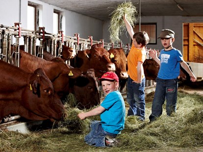 Familienhotel - bewirtschafteter Bauernhof - Kitzbühel - Tägliches Tiere füttern - Kinderhotel Felben