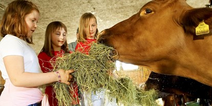 Familienhotel - Ausritte mit Pferden - Salzburg - Tägliches Tiere füttern - Kinderhotel Felben