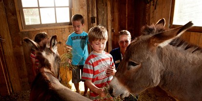 Familienhotel - Kinderbetreuung - Tiroler Unterland - Tiere und Kinder - das passt überall - Almhof Family Resort & SPA