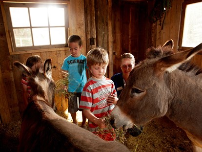 Familienhotel - Umgebungsschwerpunkt: Berg - Zillertal - Tiere und Kinder - das passt überall - Almhof Family Resort & SPA