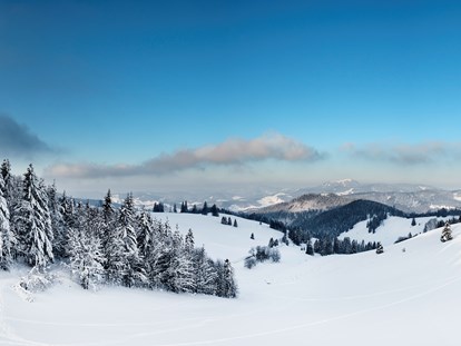 Familienhotel - Umgebungsschwerpunkt: See - Deutschland - Der Schwarzwald, zu jeder Jahreszeit eine Reise wert. Im Winter lockt der Schnee zur Bewegung im Freien z.B. beim Ski Langlauf, beim Ski Alpin, beim Rodeln oder Schneeschuhwanderungen. Wer es lieber gemütlich mag, lässt sich vom Pferdeschlitten durch die verschneite Landschaft ziehen. - Vier Jahreszeiten am Schluchsee